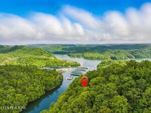 Norris Lake Real Estate - Image# 16