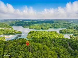 Norris Lake Real Estate - Image# 17