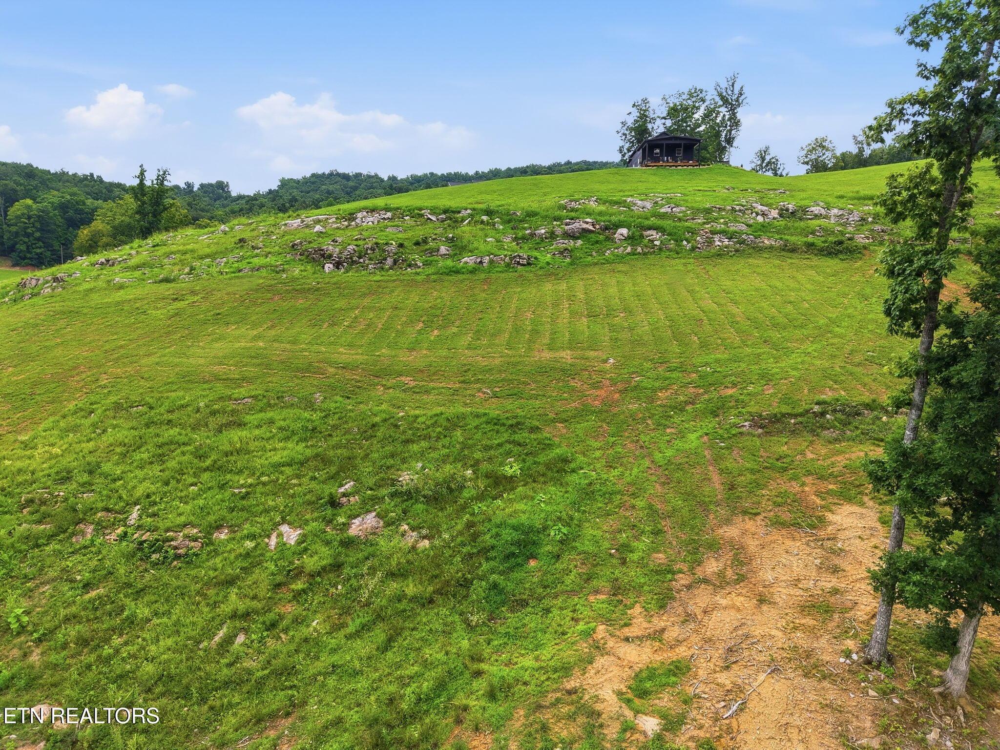 Norris Lake Real Estate - Image# 10