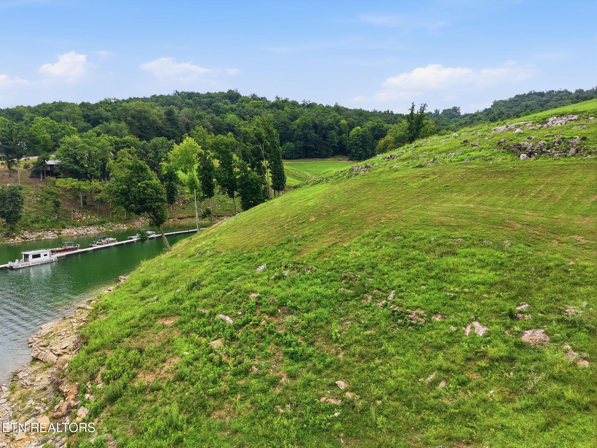 Norris Lake Real Estate - Image# 11