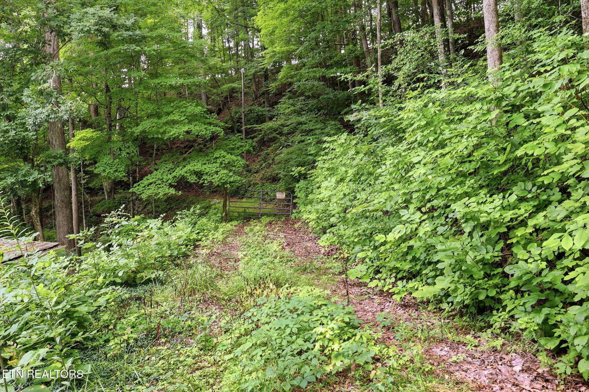 Norris Lake Real Estate - Image# 22