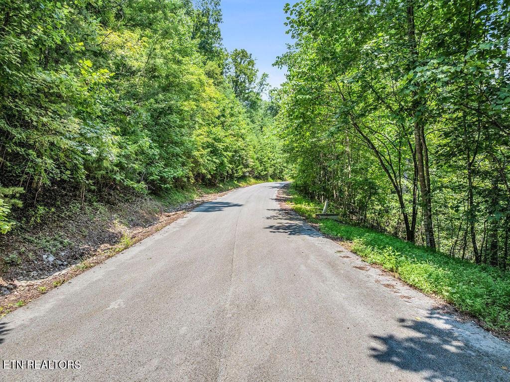 Norris Lake Real Estate - Image# 1