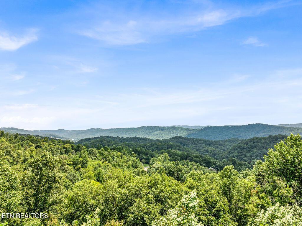 Norris Lake Real Estate - Image# 2