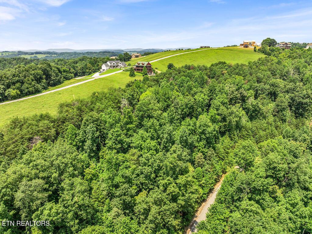 Norris Lake Real Estate - Image# 3