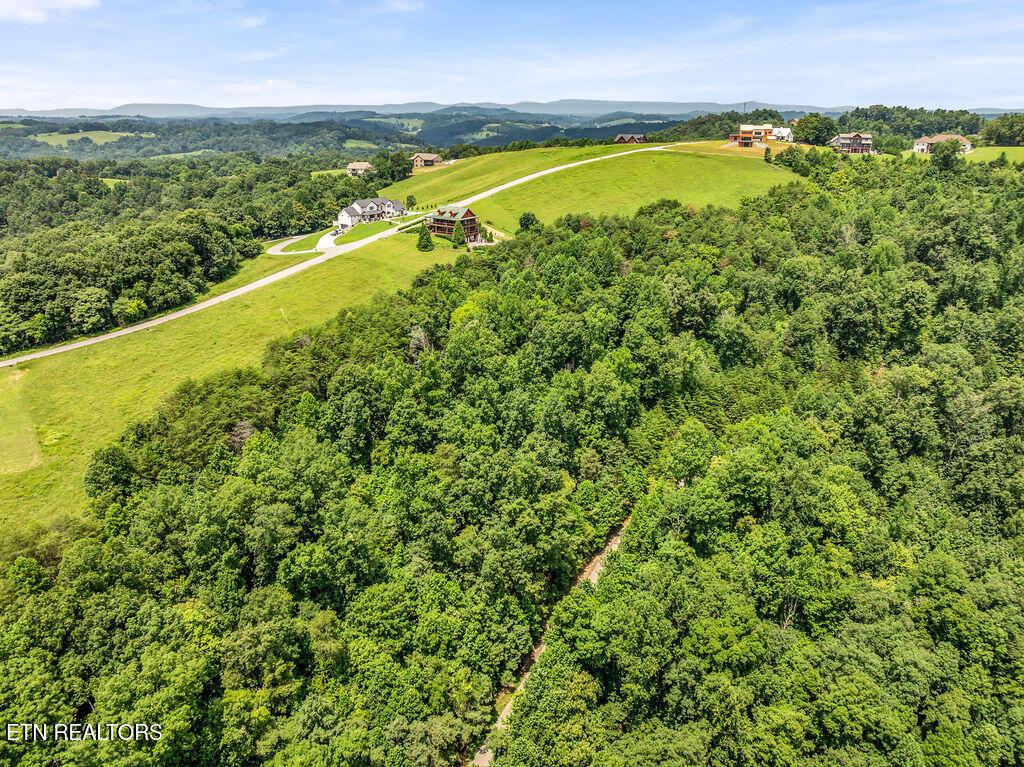 Norris Lake Real Estate - Image# 4