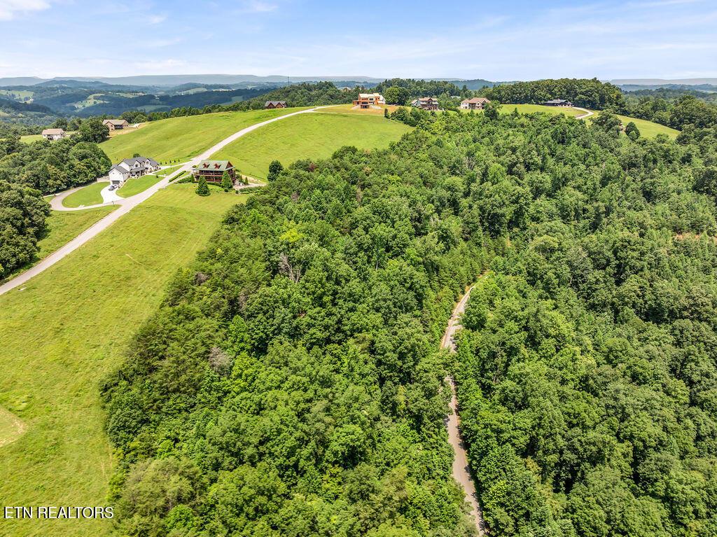 Norris Lake Real Estate - Image# 5