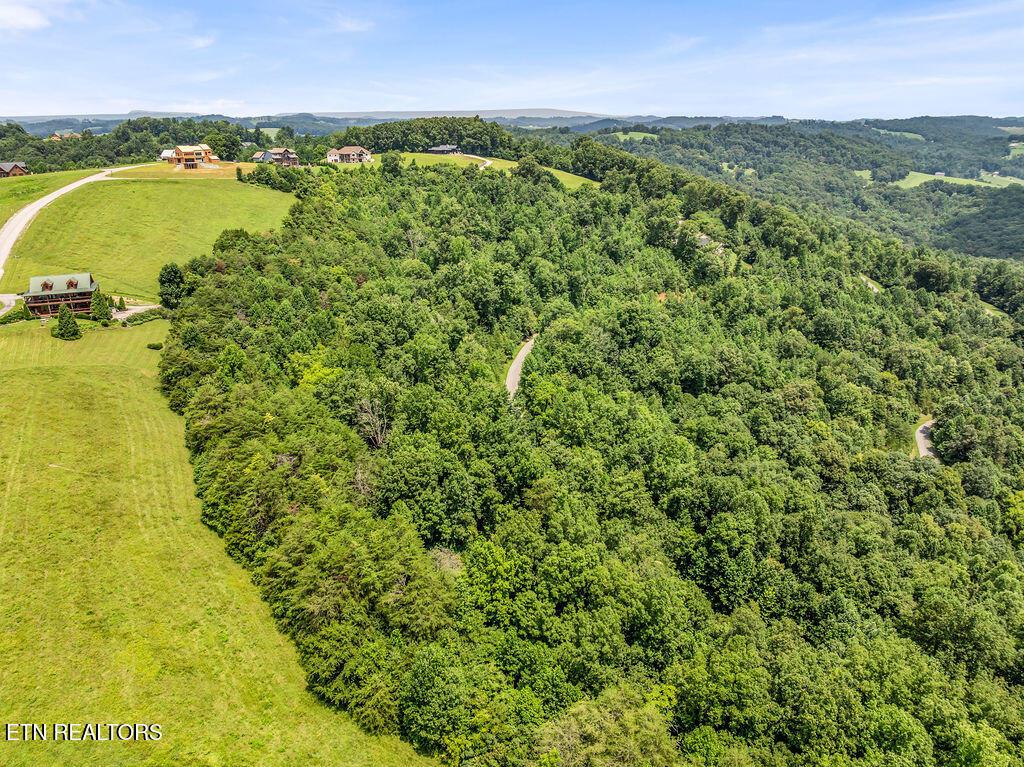Norris Lake Real Estate - Image# 6