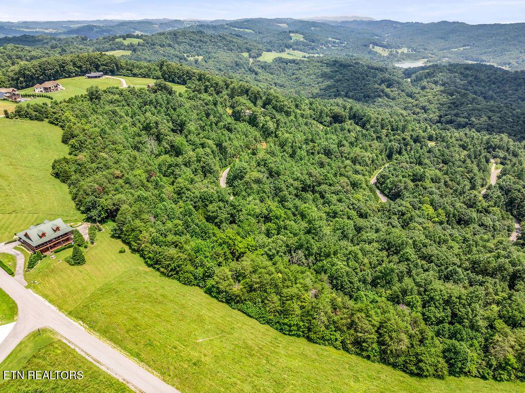 Norris Lake Real Estate - Image# 8