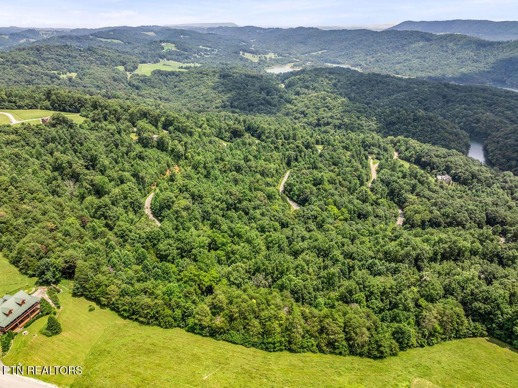Norris Lake Real Estate - Image# 9