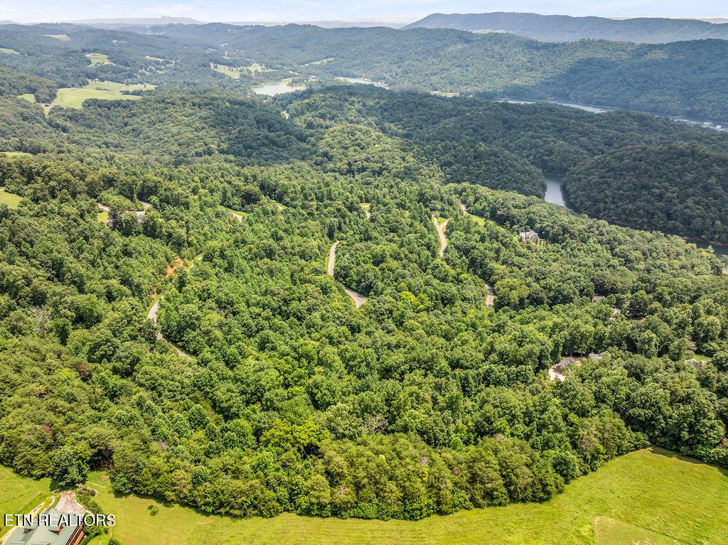 Norris Lake Real Estate - Image# 10