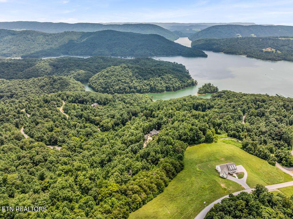 Norris Lake Real Estate - Image# 11