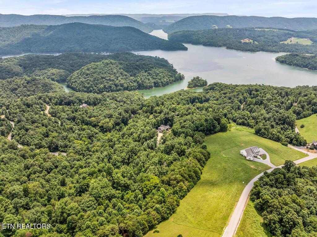 Norris Lake Real Estate - Image# 12
