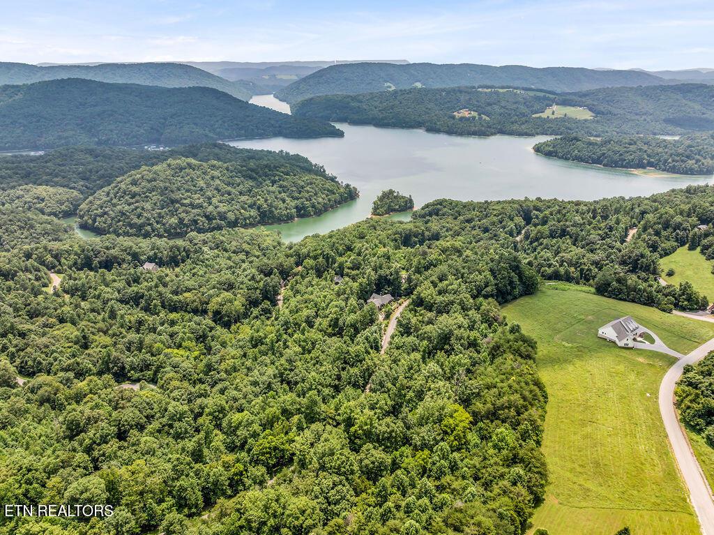 Norris Lake Real Estate - Image# 13