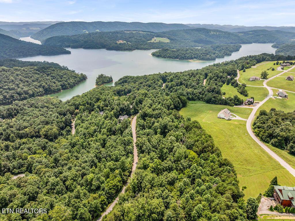 Norris Lake Real Estate - Image# 14