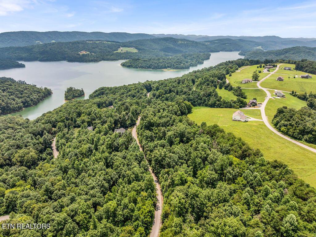 Norris Lake Real Estate - Image# 15