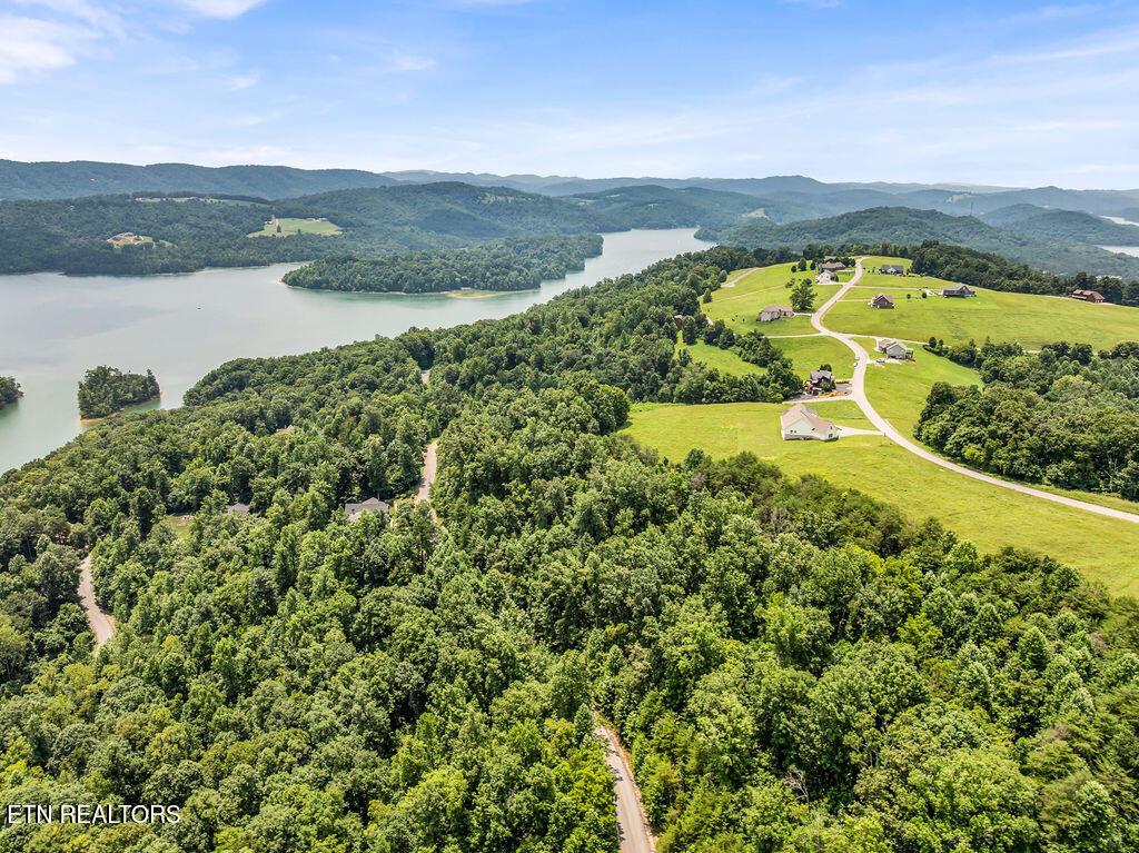 Norris Lake Real Estate - Image# 16