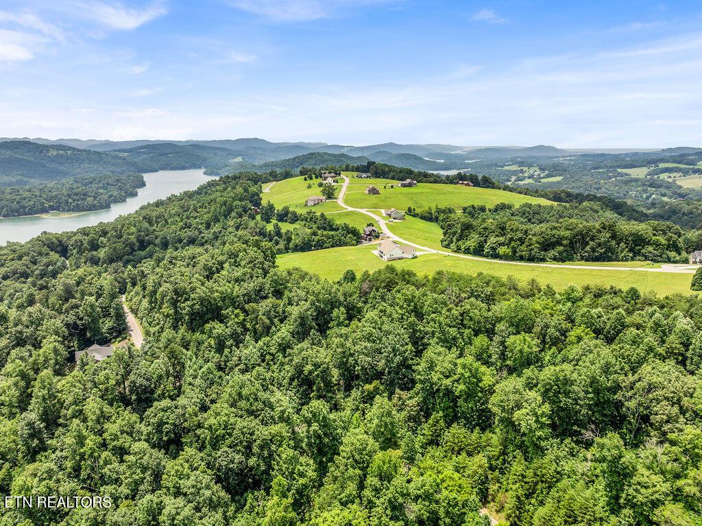 Norris Lake Real Estate - Image# 18