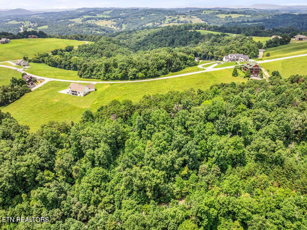 Norris Lake Real Estate - Image# 19