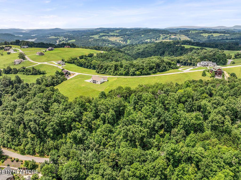 Norris Lake Real Estate - Image# 20