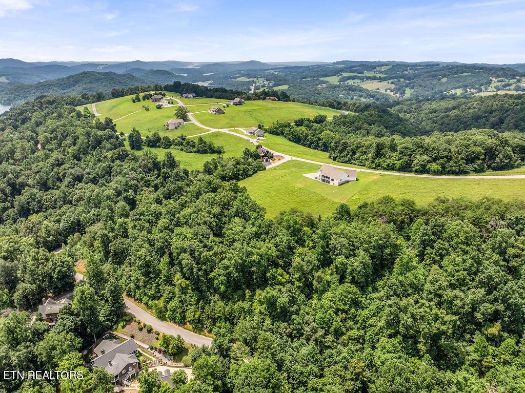 Norris Lake Real Estate - Image# 21