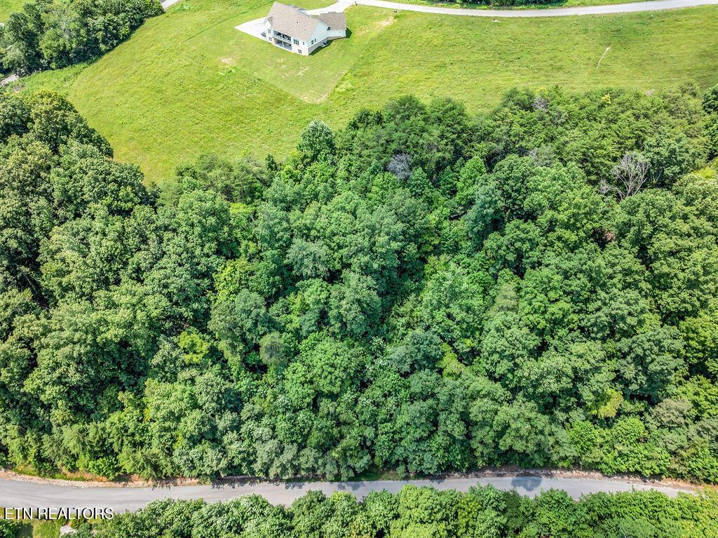 Norris Lake Real Estate - Image# 22