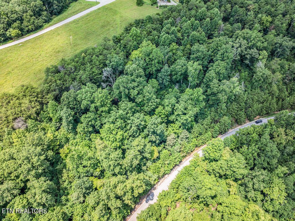 Norris Lake Real Estate - Image# 23