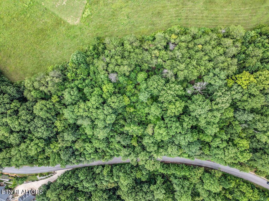 Norris Lake Real Estate - Image# 24