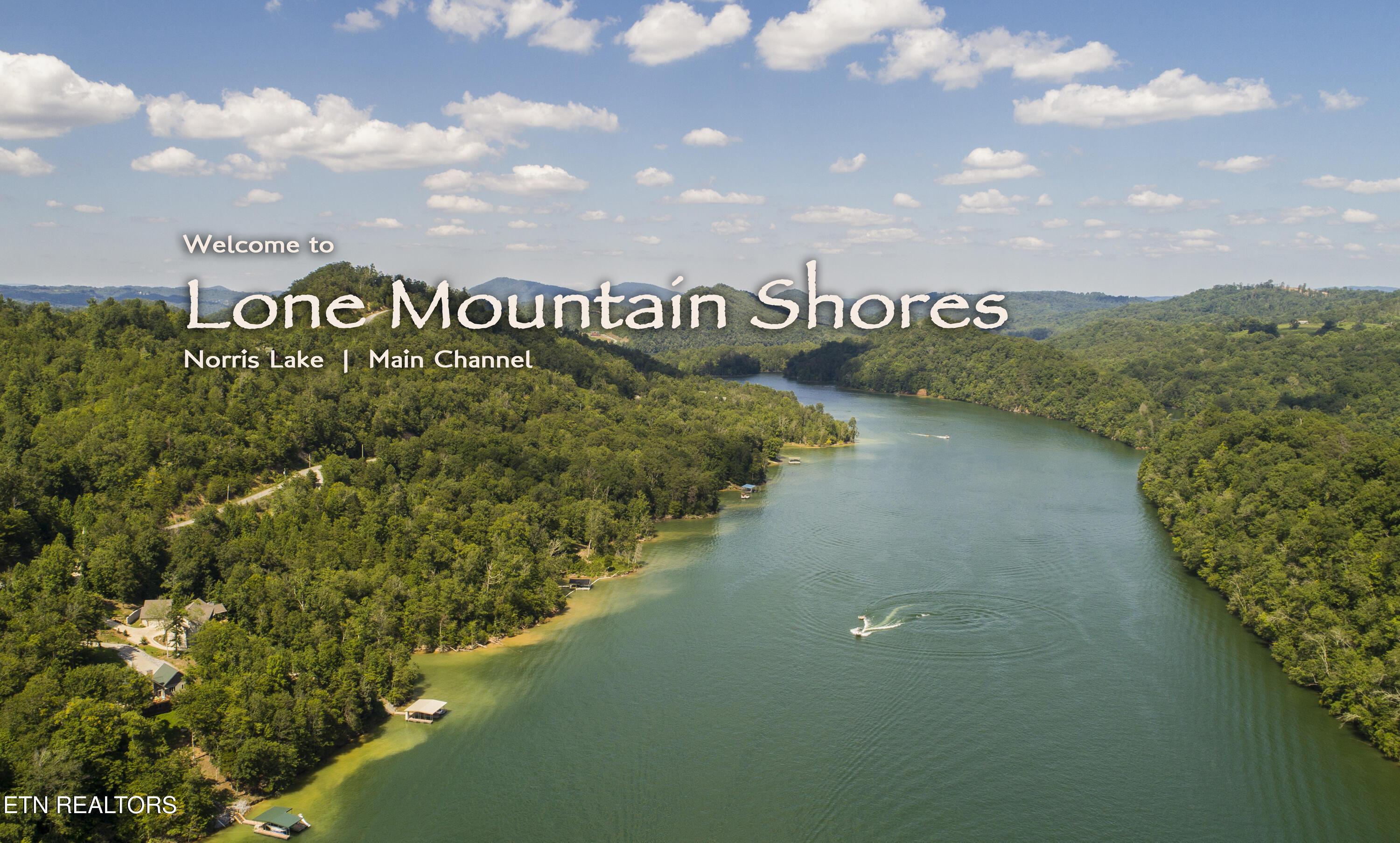 Lot 212 Clinch View Rd, New Tazewell, TN - Norris Lake Real Estate - Image# 10