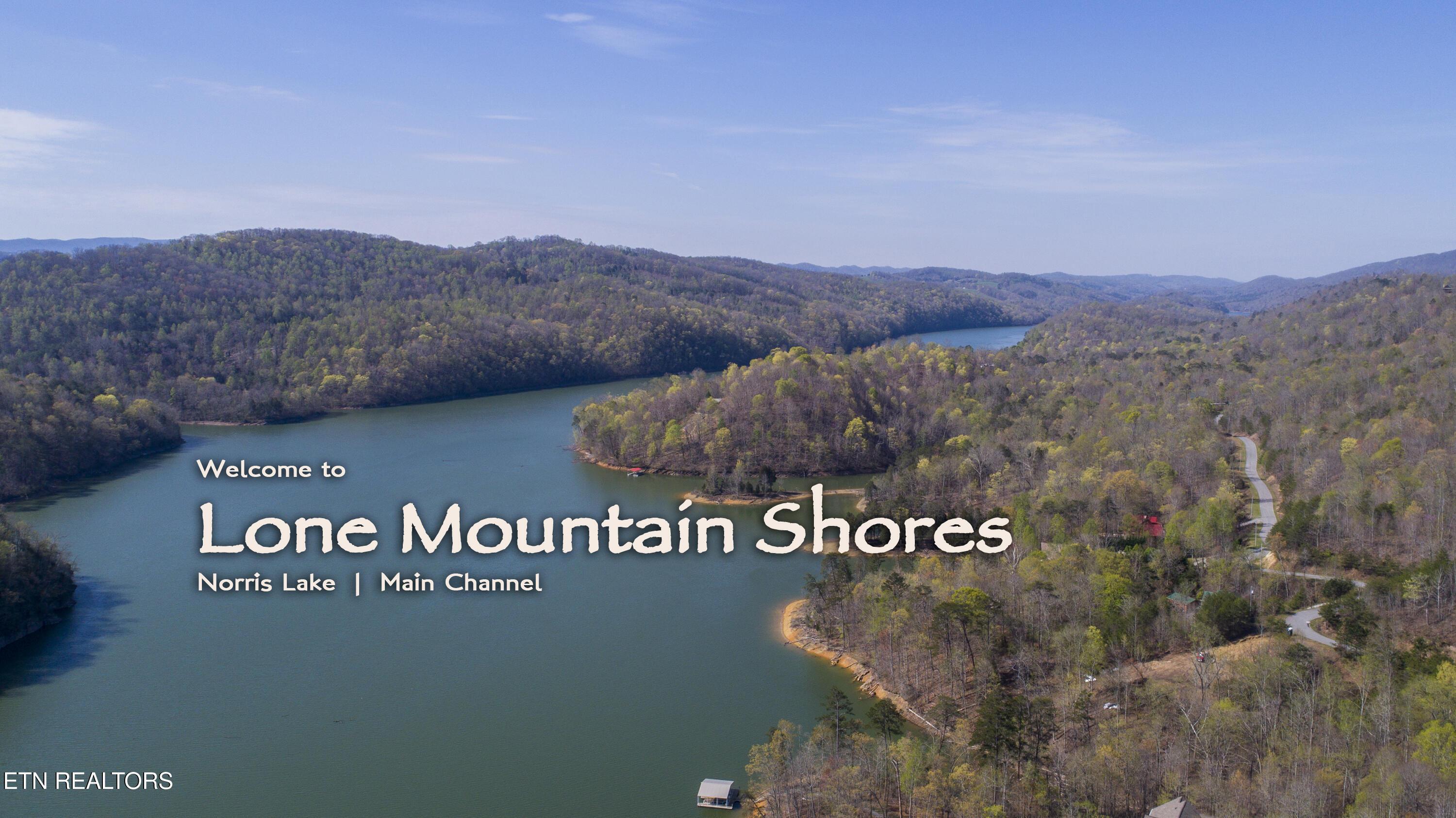 Lot 212 Clinch View Rd, New Tazewell, TN - Norris Lake Real Estate - Image# 40