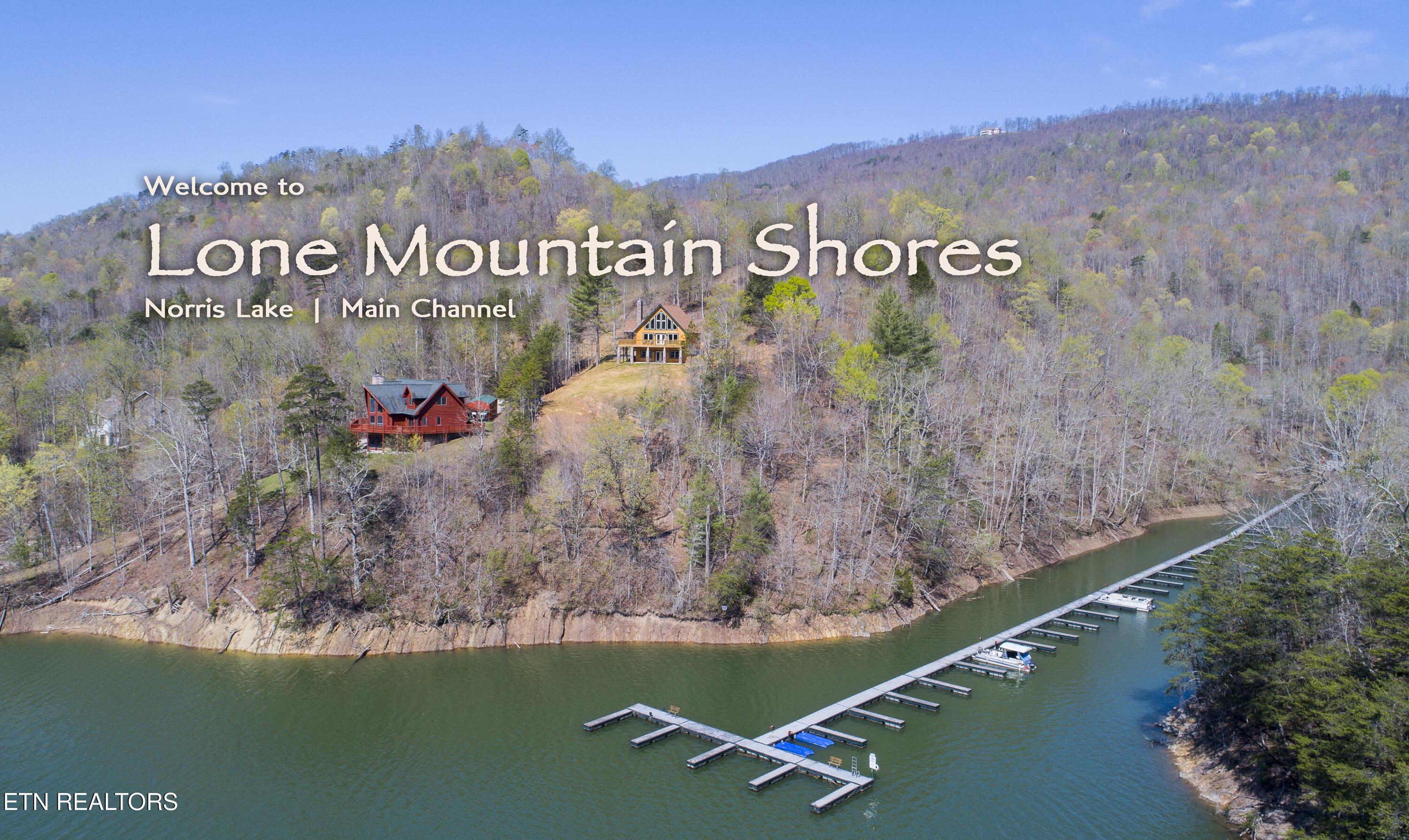 Lot 212 Clinch View Rd, New Tazewell, TN - Norris Lake Real Estate - Image# 11