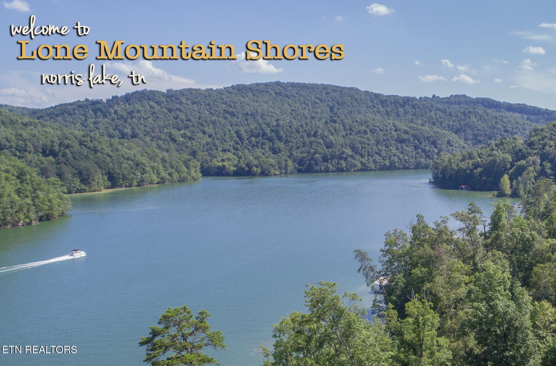 Lot 212 Clinch View Rd, New Tazewell, TN - Norris Lake Real Estate - Image# 12