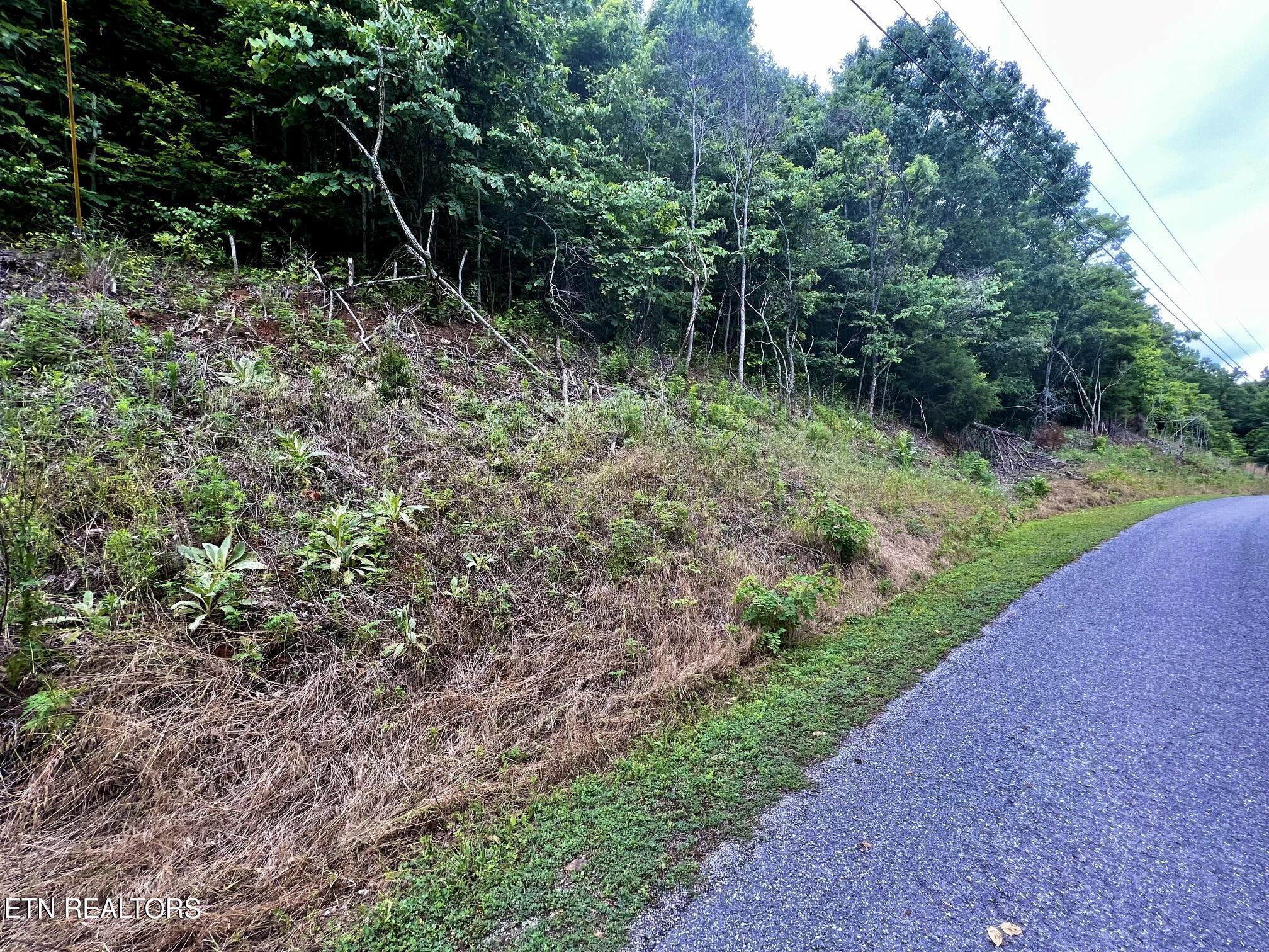 Lot 212 Clinch View Rd, New Tazewell, TN - Norris Lake Real Estate - Image# 5