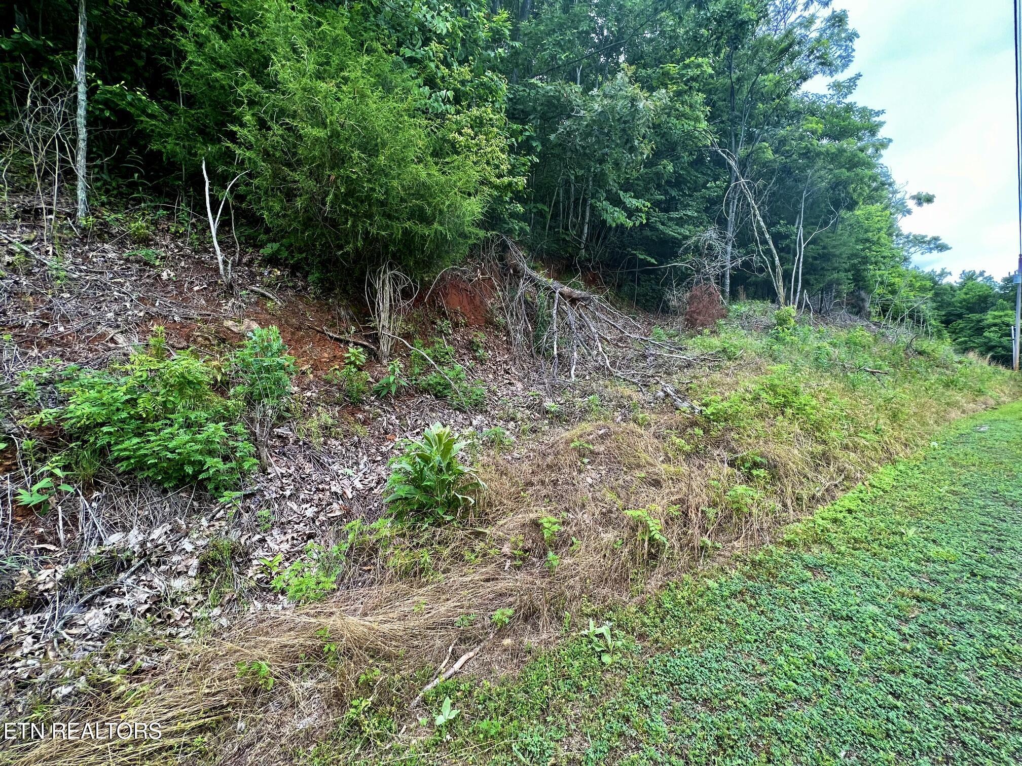 Lot 212 Clinch View Rd, New Tazewell, TN - Norris Lake Real Estate - Image# 6