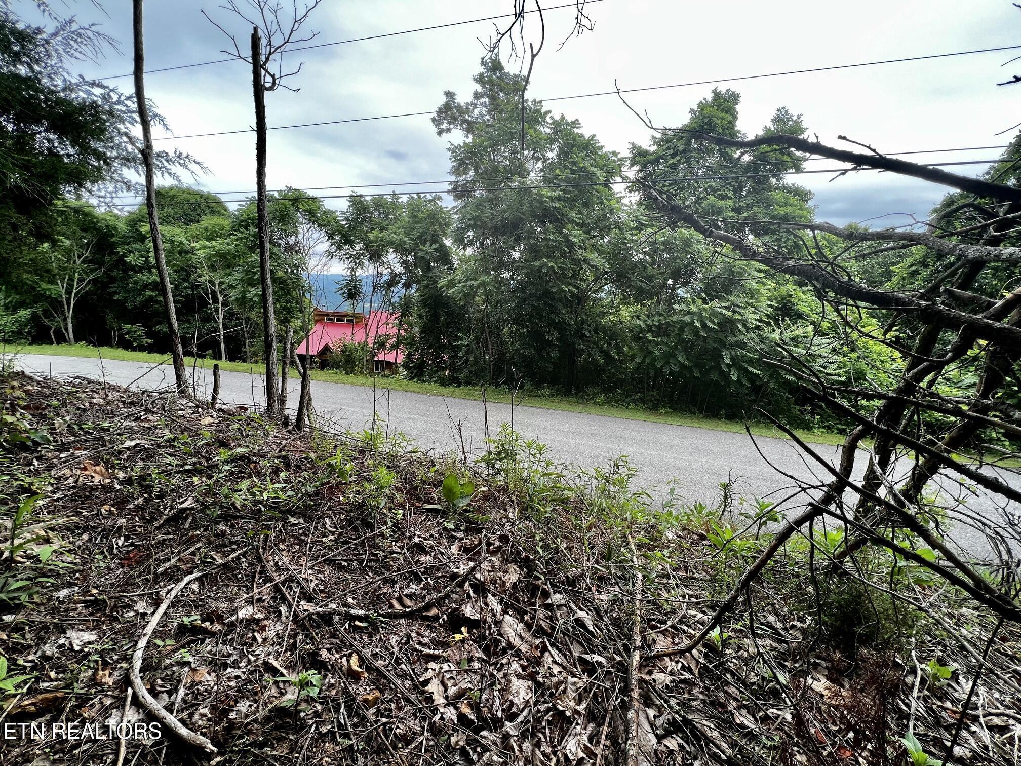 Lot 212 Clinch View Rd, New Tazewell, TN - Norris Lake Real Estate - Image# 3