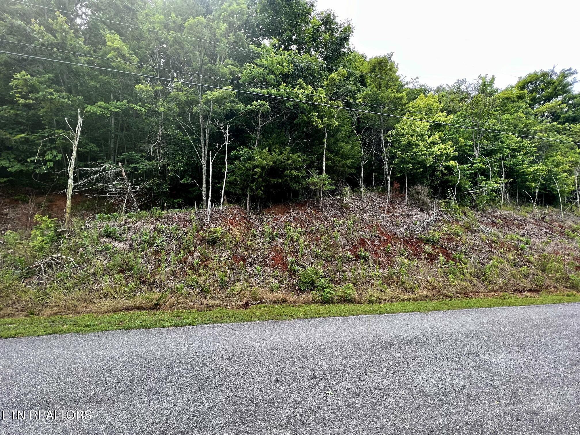 Lot 212 Clinch View Rd, New Tazewell, TN - Norris Lake Real Estate - Image# 7