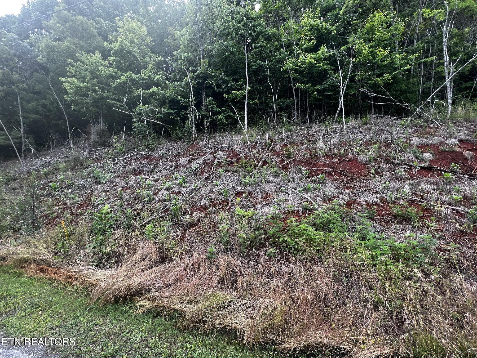 Lot 212 Clinch View Rd, New Tazewell, TN - Norris Lake Real Estate - Image# 8
