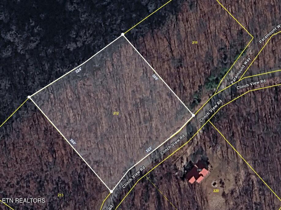 Lot 212 Clinch View Rd, New Tazewell, TN - Norris Lake Real Estate - Image# 4
