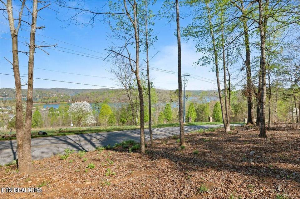 Norris Lake Real Estate - Image# 5