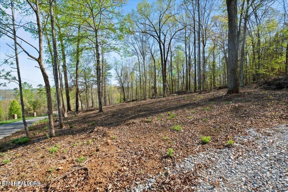 Norris Lake Real Estate - Image# 6