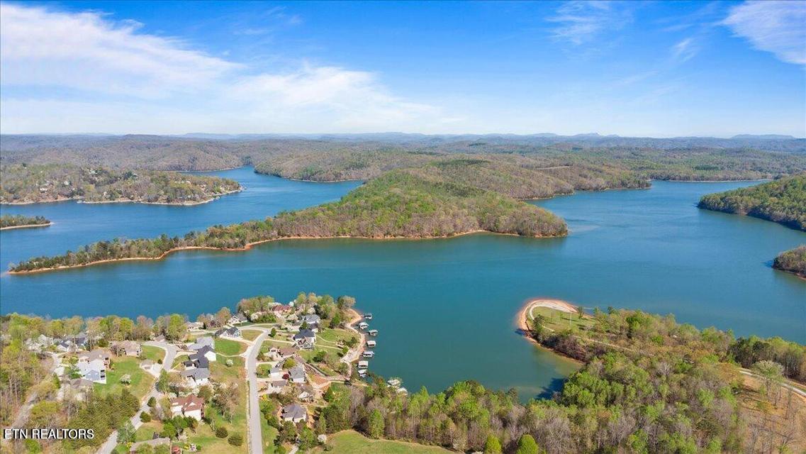 Norris Lake Real Estate - Image# 2