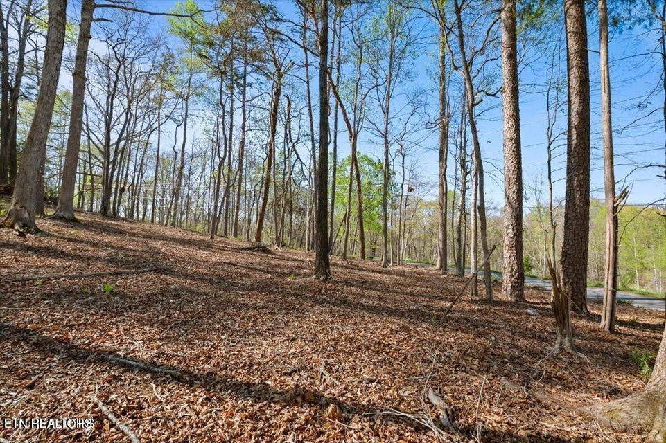 Norris Lake Real Estate - Image# 8