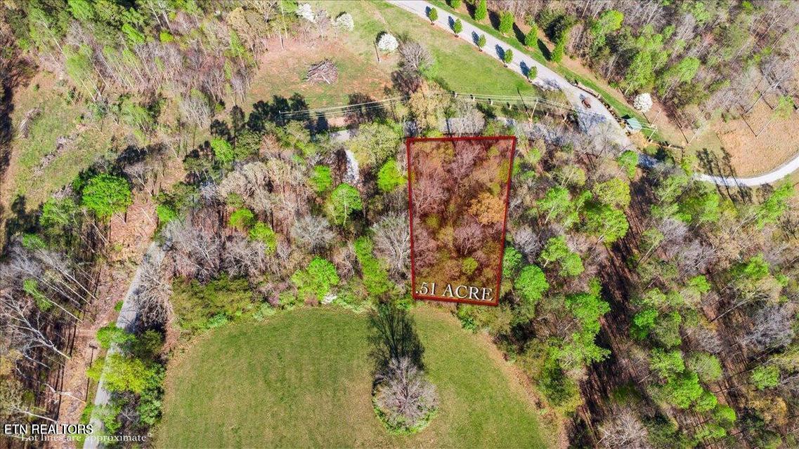 Norris Lake Real Estate - Image# 1
