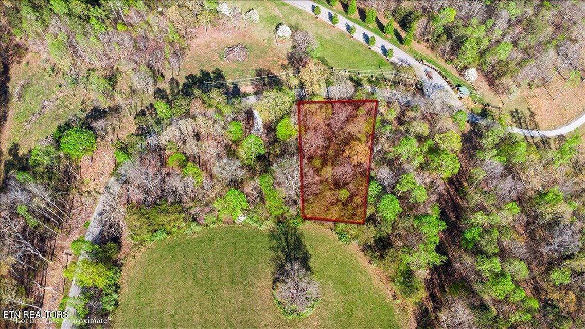 Norris Lake Real Estate - Image# 20