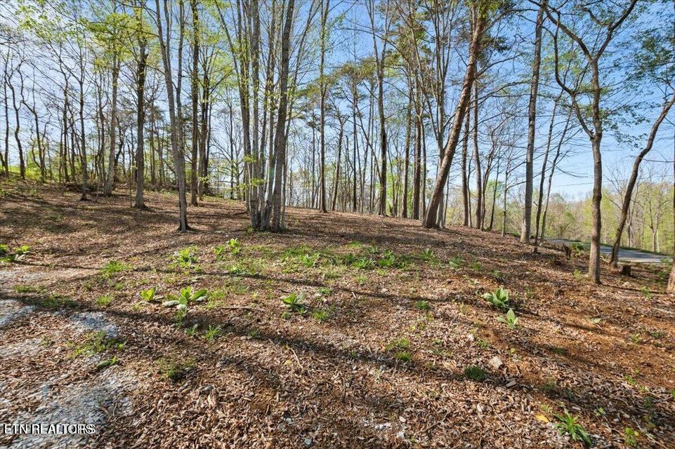 Norris Lake Real Estate - Image# 7