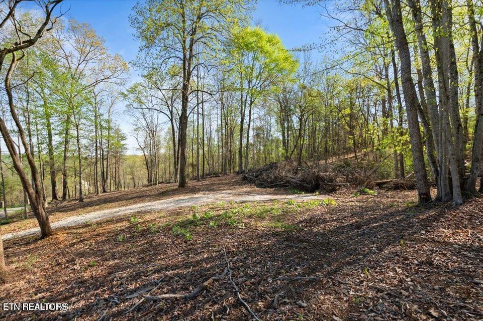 Norris Lake Real Estate - Image# 9