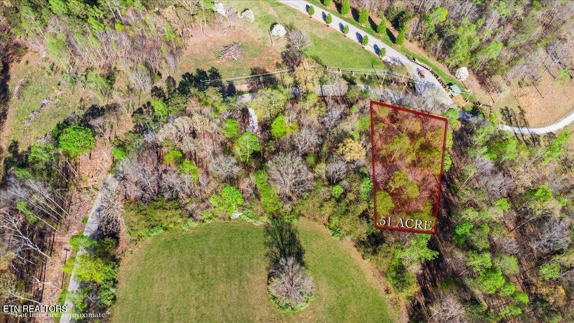 Norris Lake Real Estate - Image# 1