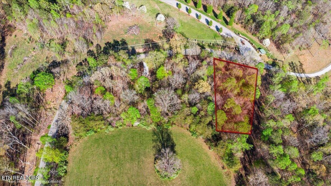 Norris Lake Real Estate - Image# 20
