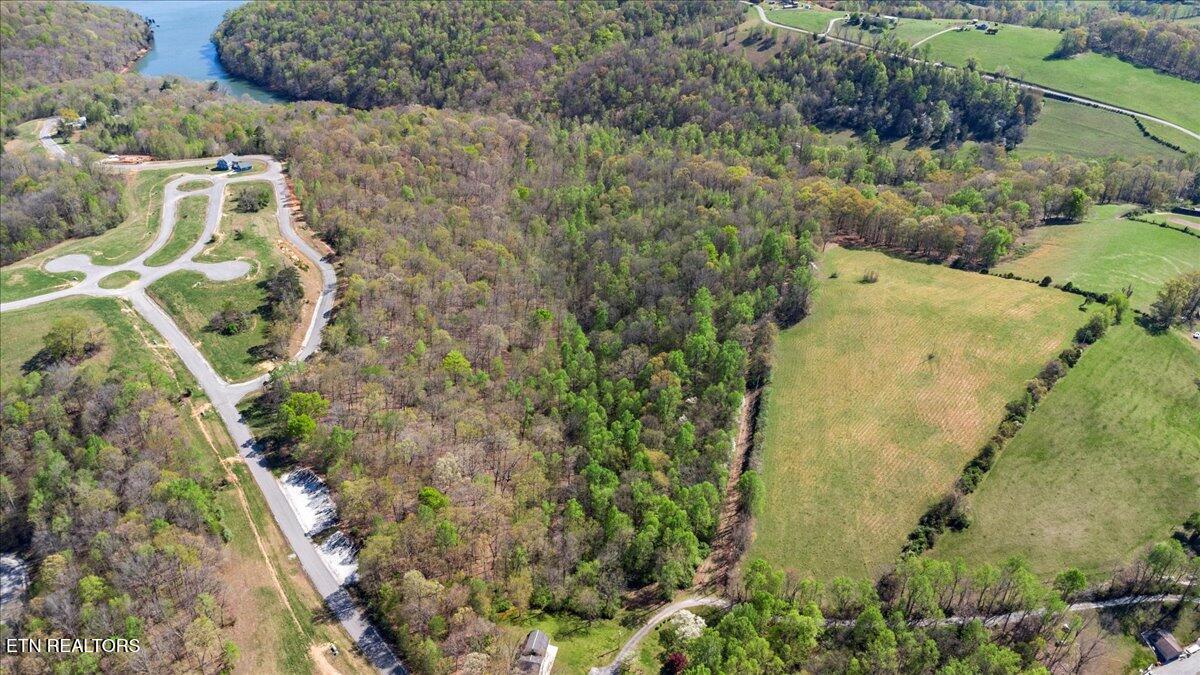Norris Lake Real Estate - Image# 6