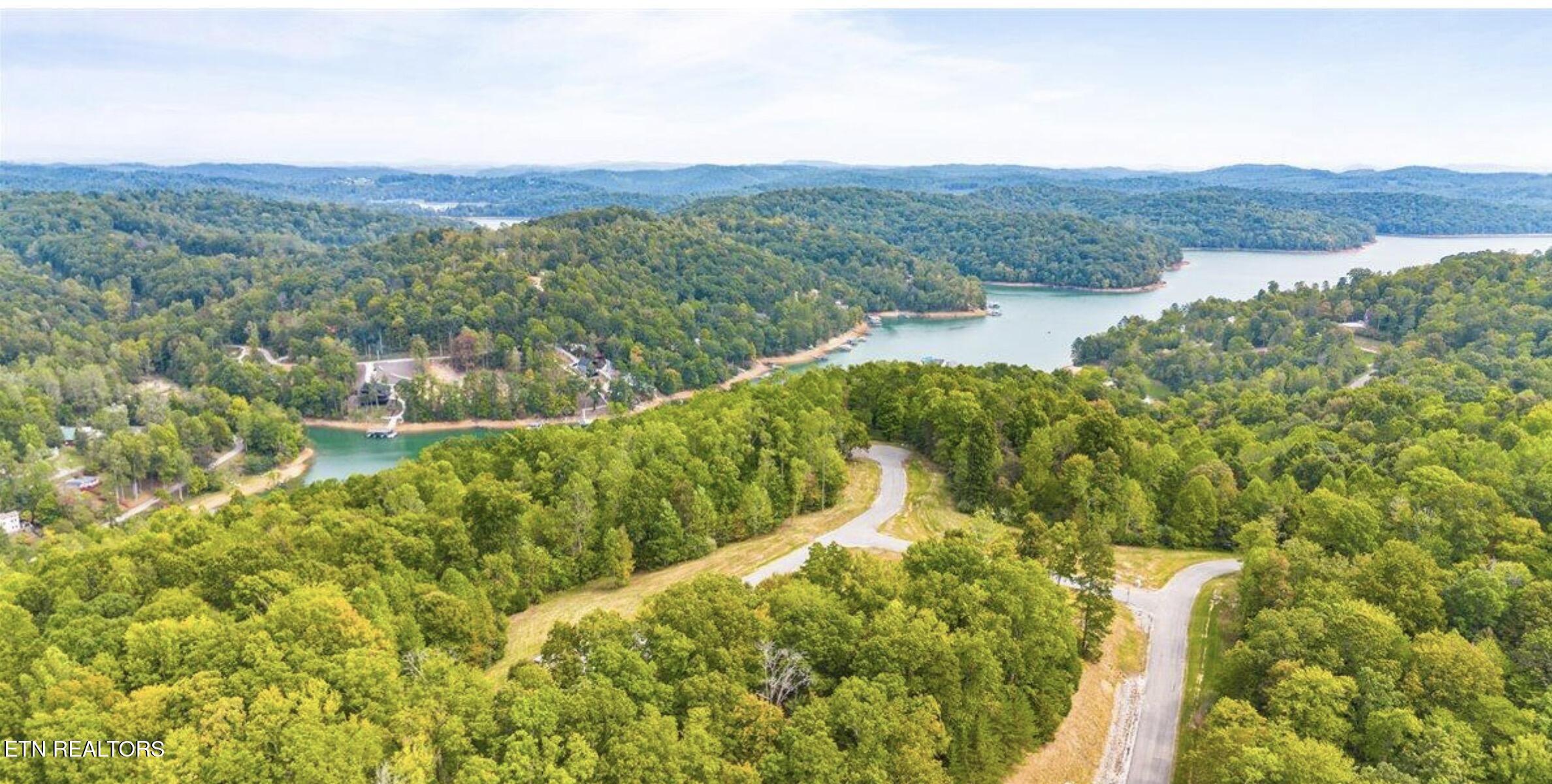 Norris Lake Real Estate - Image# 2