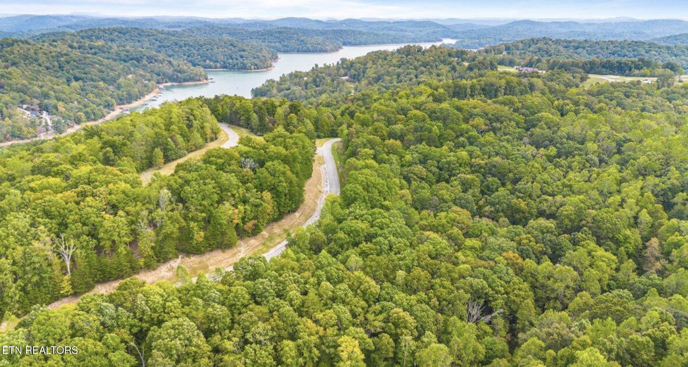 Norris Lake Real Estate - Image# 3